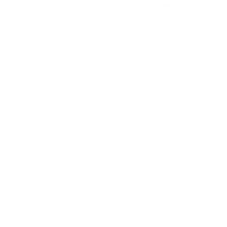 tire.webp